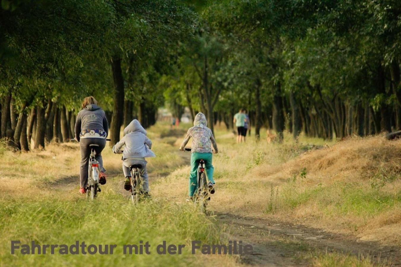 "Lilie" In Geestland-Langen, Ideal Fuer Familien & Homeoffice - Wlan & Parkplatz - 3 Zimmer, Balkon - Nahe Bremerhaven Zewnętrze zdjęcie